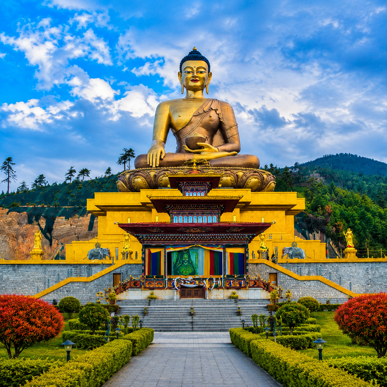 tour and travel agency in siliguri